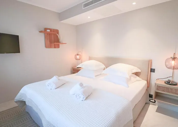 Gray Renovated Luxurious Located In * Cannes