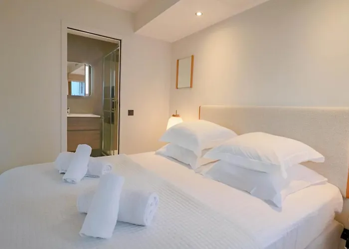 Gray Renovated Luxurious Located In Appartement